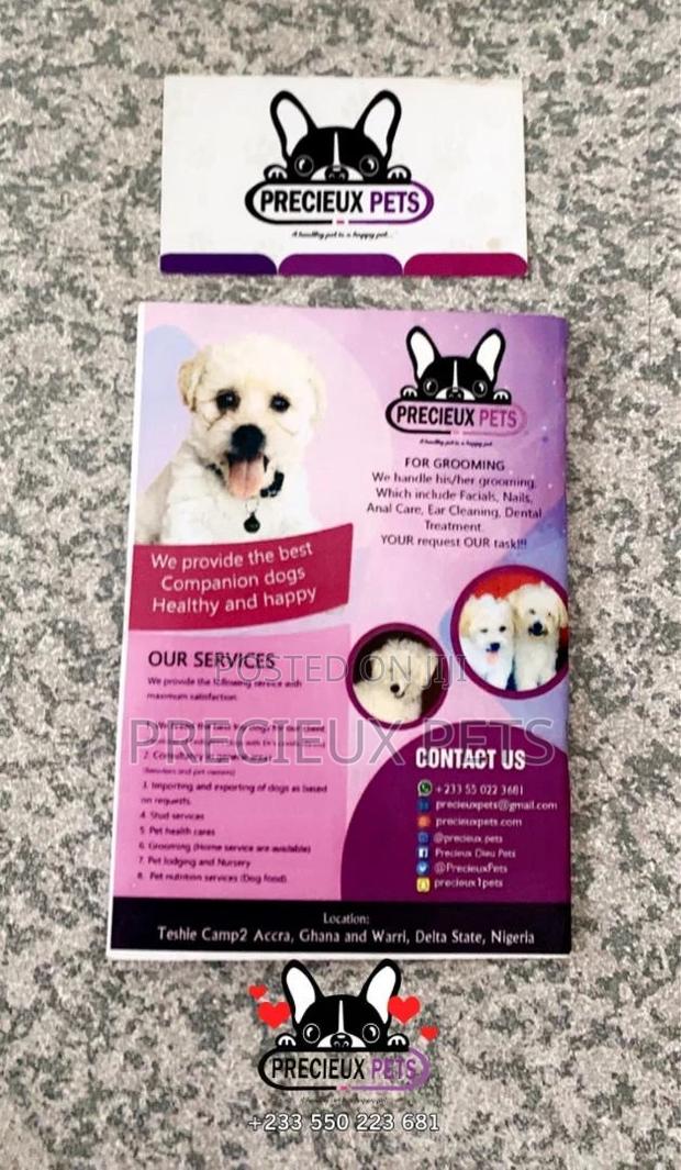 Puppies And Adult Medical Record Cards · Photo 4