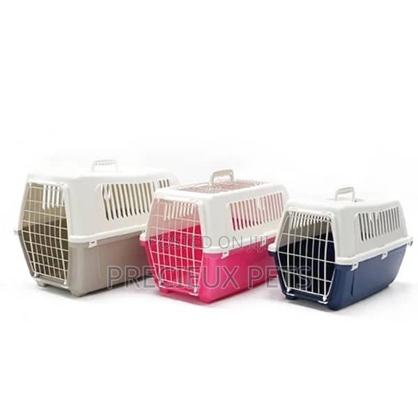 Plastic Crate For Toy Dogs · Photo 2