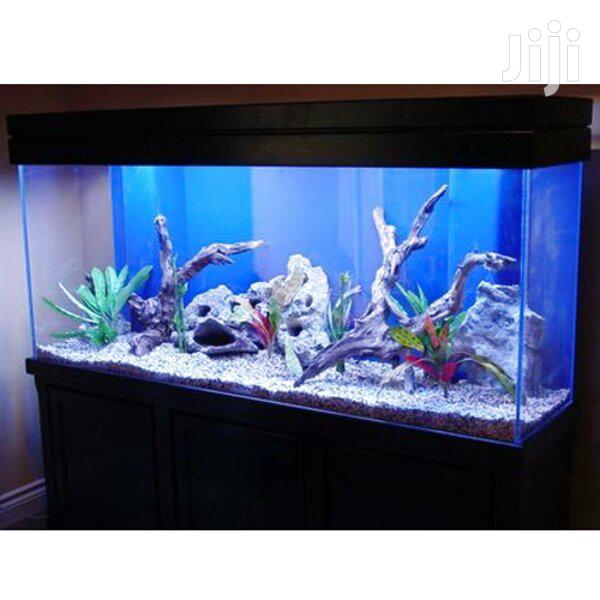 Aquarium Tank · Photo 2