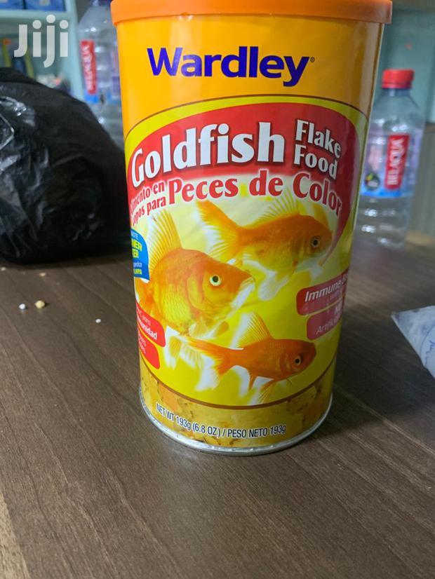 Flake for Aquarium Fishes · Photo 2