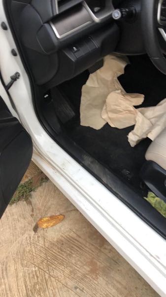 Honda Civic EX 4dr Sedan (2.0L 4cyl) 2017 White