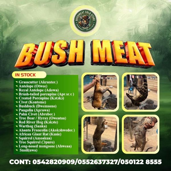 BUSHMEAT FOR SALE