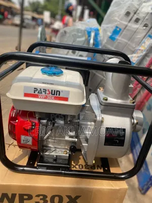 Wp30x Parsun Water Pump