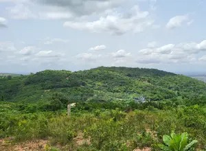 Eastern Region - Adukrom (Aseseeso) _ 150+ Acres Mountain Land