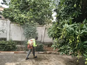 Control of All Kinds of Dangerous Pest Homes and Offices