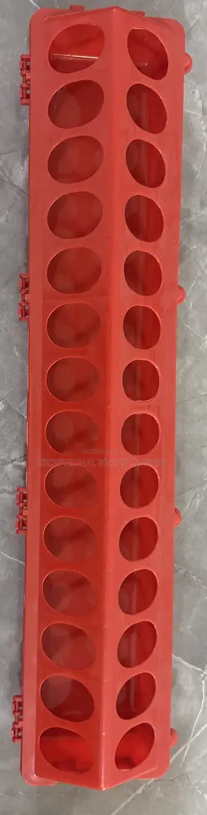 Chick Feeder
