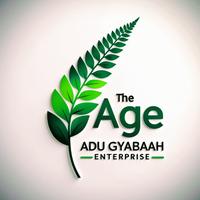Adu Gyabaah Enterprise (AGE)