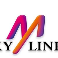 M Sky Electronics